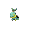 Shiny Turtwig